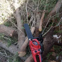 قطع درختان با اره برقی