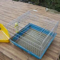 قفس خرگوش به همراه لوازم|موش و خرگوش|رشت, گلسار|دیوار