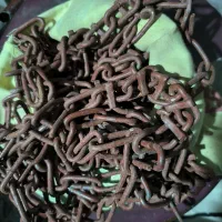 زنجیر چرخ پراید(جهت معاوضه)