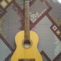 گیتار رویال