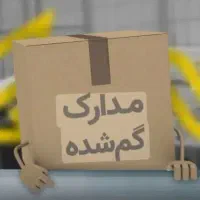 کیف دستی کوچک وحرزگم شده