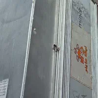 ماینر ۸۴تراهشی|قطعات و لوازم جانبی رایانه|اصفهان, آبشار|دیوار