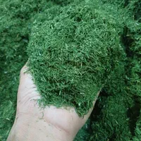 فروش انواع سبزیجات  خشک طبس با بهترین کیفیت|عمده‌فروشی|مشهد, طبرسی شمالی|دیوار