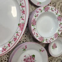 سرویس غذاخوری چینی زرین