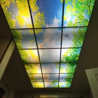 سقف کاذبpvcتایل گچی آسمان مجازی تایل معرقcncکناف|خدمات پیشه و مهارت|تهران, باغ خزانه|دیوار