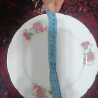سرویس گل سرخی|ظروف سرو و پذیرایی|شیراز, هفت تنان|دیوار