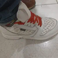 آدیداس نیوبالانس کتونی گلف|کیف، کفش، کمربند|آبسرد, |دیوار