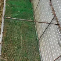 قفس جوجه و بلدرچین|لوازم جانبی حیوانات|چمستان, |دیوار