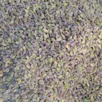 سایه خشک وغیره درجه یک