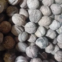 شیره انگور کیلویی ۵۰۰وگردوی تازه شیروان کیلویی ۳۵۰|خوردنی و آشامیدنی|تهران, ابوذر|دیوار