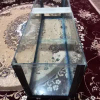 آکواریوم.وتجهیزات|ماهی|شیراز, پودنک|دیوار