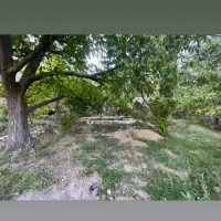 50 قصب باغ بندر دلفارد خوش آب و هوا