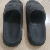 دمپای