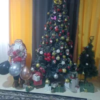 بابانویل به همراه درخت کوچک وبزرگ سیوپنج میلیون