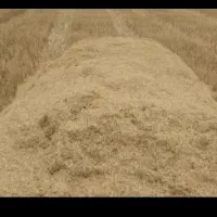 20شلیف کاه درجه یک کیلویی13درسرابله