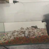 اکواریم