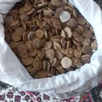 قروت(کشک بیرجندی)