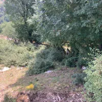۴۸۸ متر زمین در رویان|فروش زمین و ملک کلنگی|تهران, تجریش|دیوار