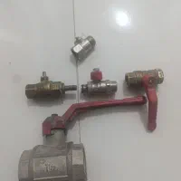 پنج عدد شیر سالم و مرتب