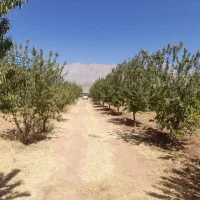 فروش ۳۰۰۰ متری