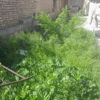 فروش منزل ویلایی هاشیه بهشتی ۱۲( املاک بابائ)|فروش خانه و ویلا|چناران, |دیوار