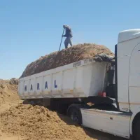 باگاس(کاه نیشکر)