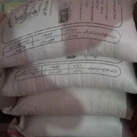 کدو امسال