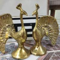 طاووس برنز سنگین