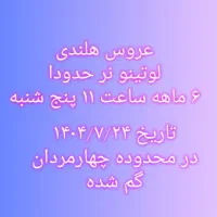 عروس هلندی گم شده