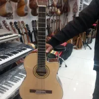 دو عدد گیتار