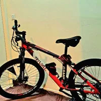 دو چرخه ریوال سند دار|دوچرخه، اسکیت، اسکوتر|تیکمه داش, |دیوار