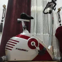 دوچرخه ثابت استینگری تایوانی کاملا نو|تجهیزات ورزشی|رشت, پارک شهر|دیوار