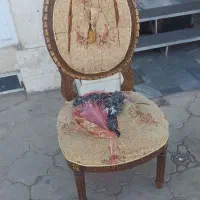 تعمیرات تخصصی مبلمان|خدمات پیشه و مهارت|سمنان, |دیوار