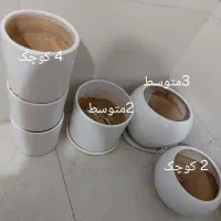 تعدادی گلدان سفالی