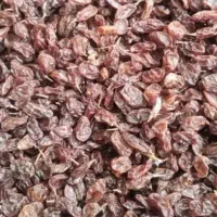 فروش ۲۰۰ کیلو کشمش آفتابی