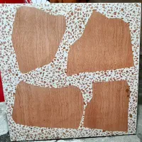 سرامیک اسراء قهوه ای روتوکالر سایز50*50 ارم اردکان|مصالح و تجهیزات ساختمان|کلارآباد, |دیوار