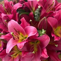 گل رز و لیلیوم، فروش عمده
