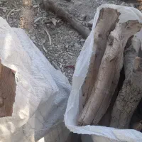 هیزم