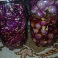 ترشی آب گوجه خانگی|خوردنی و آشامیدنی|مشهد, شهید قربانی|دیوار