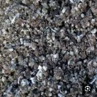 بوقلمون کود