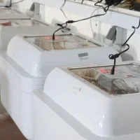 دستگاه جوجه کشی 96 تایی ایزی باتور 2|لوازم جانبی حیوانات|بیرجند, |دیوار