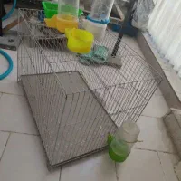 قفس