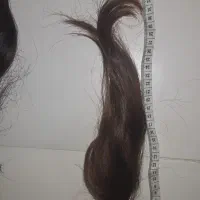 موی طبیعی|آرایشگاه و سالن‌های زیبایی|ایوان, |دیوار