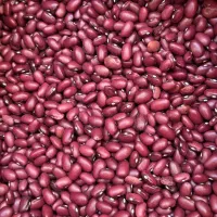 پخش حبوبات ایرانی،دستچین و درجه یک زیر قیمت مولوی