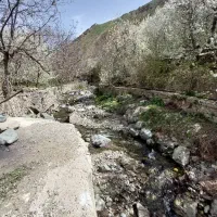 ۱۵۴۵ متر زمین باغ واقع در سنگان|فروش زمین و ملک کلنگی|تهران, جنتآباد شمالی|دیوار