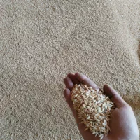 جو درجه 1