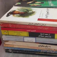 کتاب داستان. تاریخی . سیاسی. مذهبی|کتاب و مجله ادبی|مشهد, شهید معقول|دیوار
