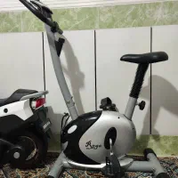 دوچرخه ثابت خانگی roga