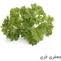سبزی خارجی و کالاهای فرش|خوردنی و آشامیدنی|تهران, مرزداران|دیوار