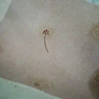 موکت